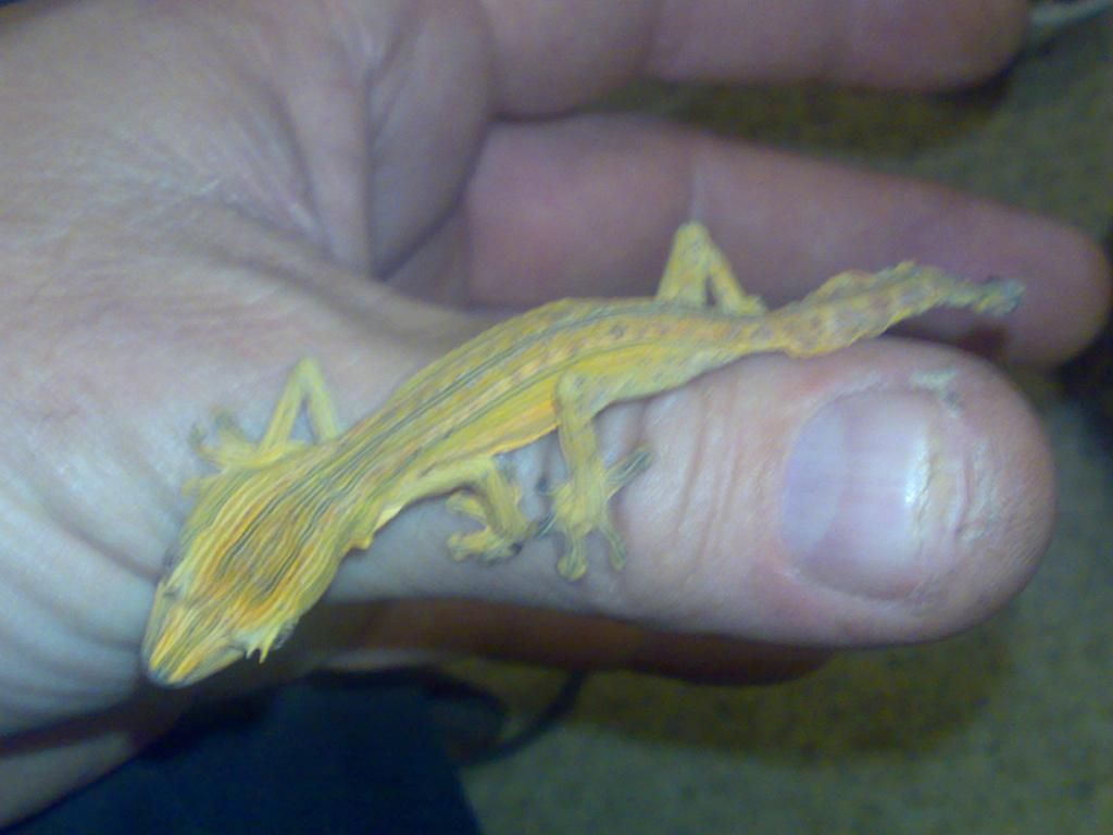 11032012351.jpg