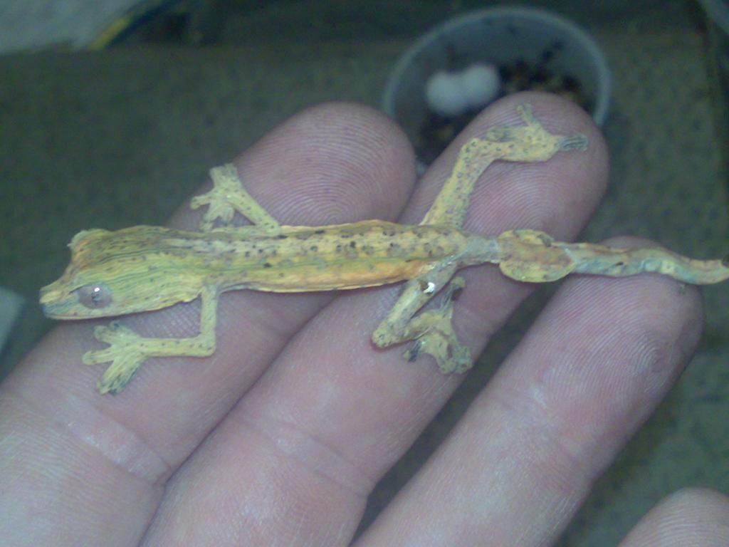 11032012352.jpg