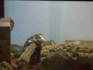 11062011938.jpg