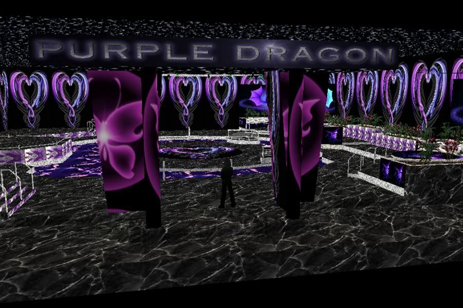 Purple Dragon Dance Club 2