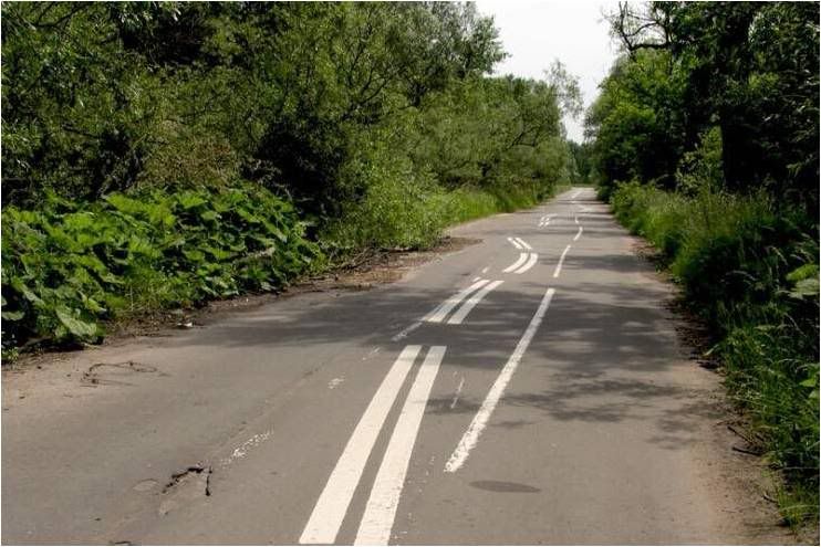 accidentes accidentes
