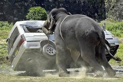 accidentes accidentes