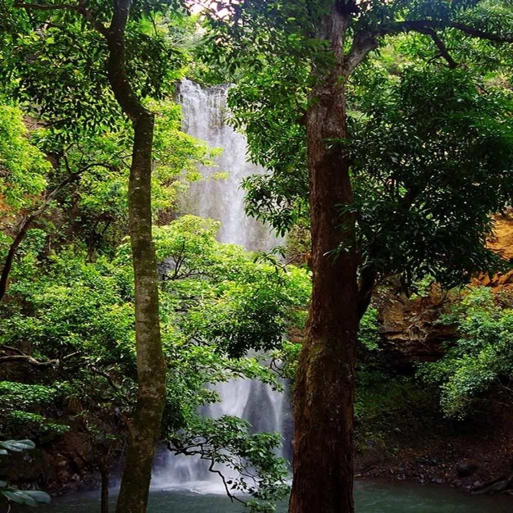 Beautiful Hawaiian Waterfalls