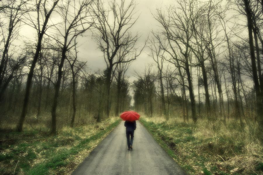 IMAGE: http://i303.photobucket.com/albums/nn147/Phoenix51200/IMG_2531_1-1.jpg