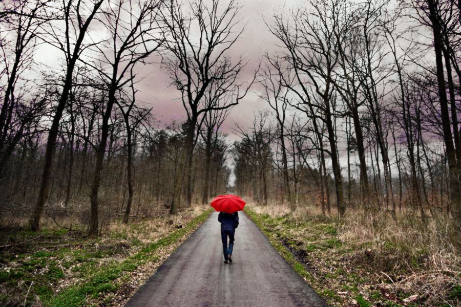 IMAGE: http://i303.photobucket.com/albums/nn147/Phoenix51200/IMG_2531_1.jpg