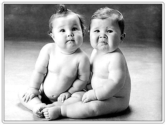 twins-cuddly-baby-boys.jpg picture by jasmine4242