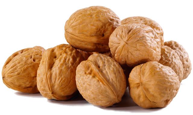 walnuts.jpg picture by jasmine4242