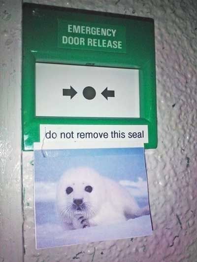 This Seal
