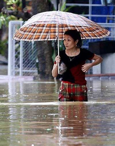 Umbrella