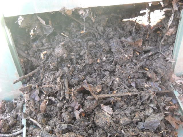 Compost4.jpg
