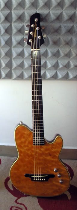 talman2.jpg