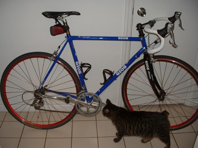 Randysnewbike_zps20fd58a8.jpg