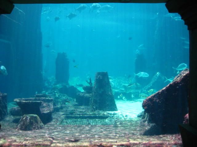 IMG_0485.jpg