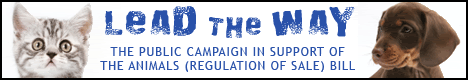 Lead The Way Banner