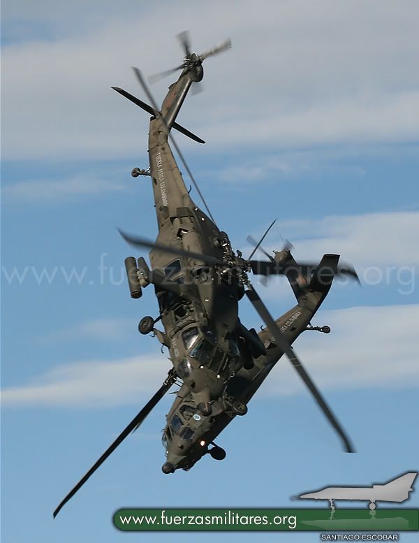 http://i303.photobucket.com/albums/nn151/fuerzasmilitares_org/AEREA-ShowARPIAS.jpg