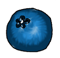 blueberry.png
