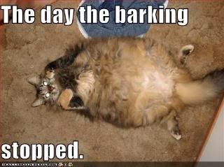 funny-pictures-cat-ate-dog-barking-.jpg