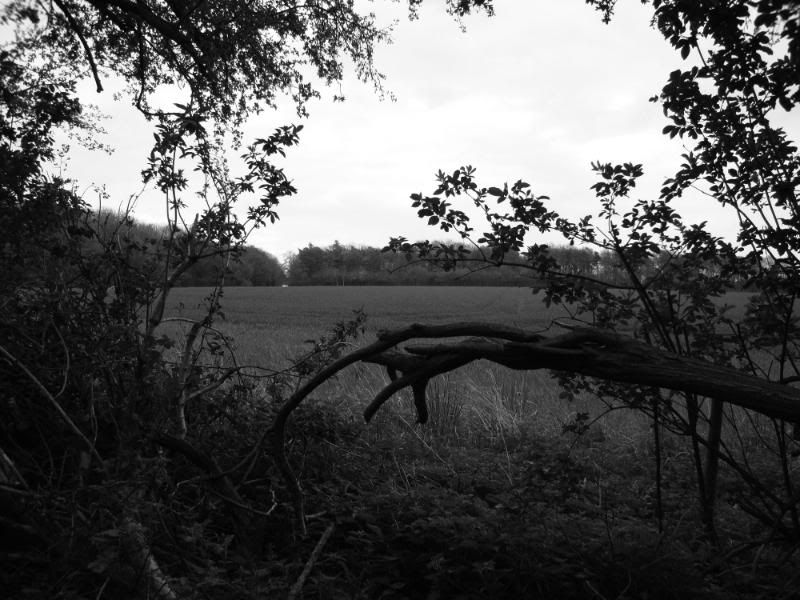 DSC00308.jpg
