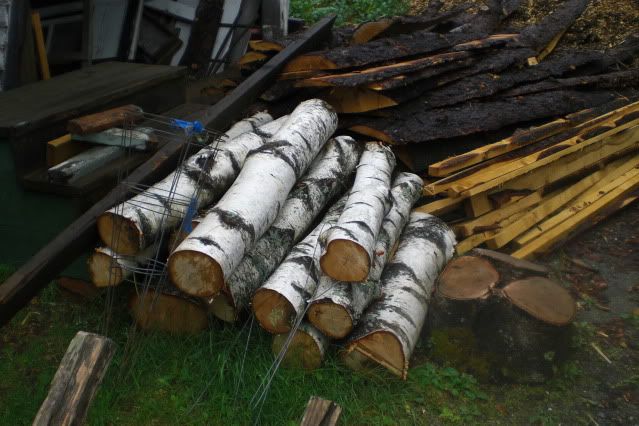 Birch logs