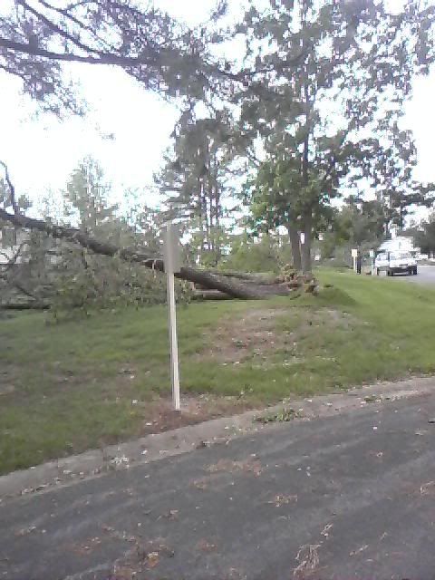 Storm pic 1
