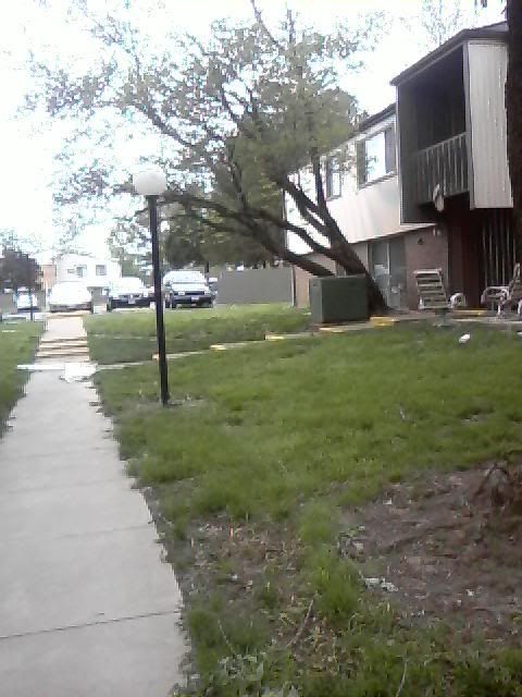 Storm pic