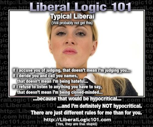 liberal-logic-101-354_zps003e601f.jpg