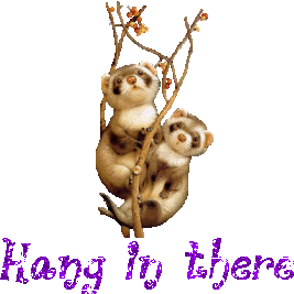 ferrets.gif Hang image by melstinky