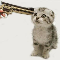 [Image: kitten-gun.jpg]