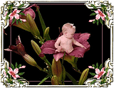 bb.png b&eacute;b&eacute; image by lapoutine2008