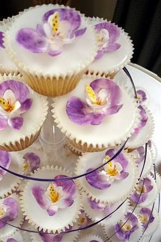 orchid cupcakes Pictures, Images and Photos