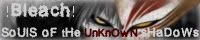 !Bleach! SoUlS oF tHe UnKnOwN sHaDoWs: Under Construction banner