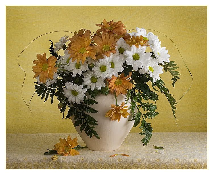 flowers yellow Pictures, Images and Photos