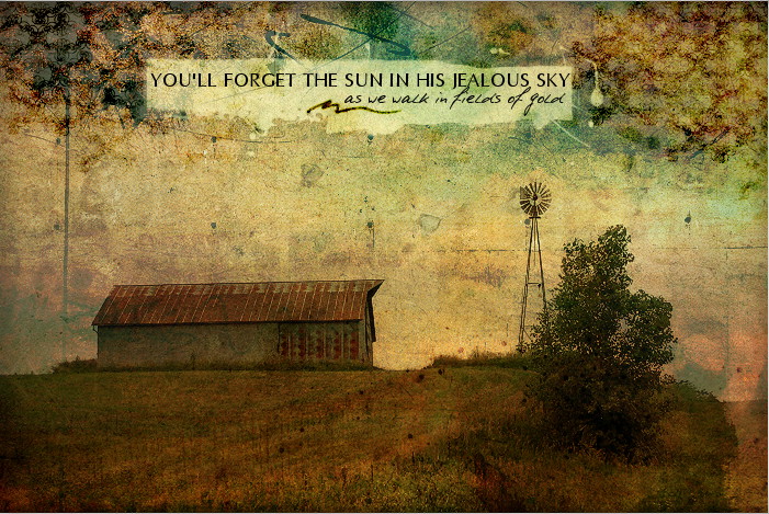 fieldsofgoldheader.png YOU'LL FORGET THE SUN IN HIS JEALOUS SKY as we walk in fields of gold image by natattack20