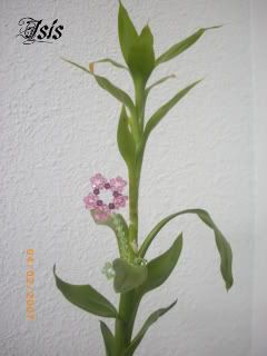 figuritaflor-1.jpg