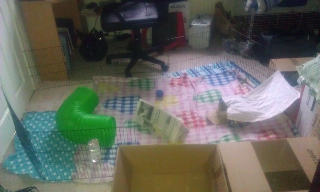 IMAG0243.jpg