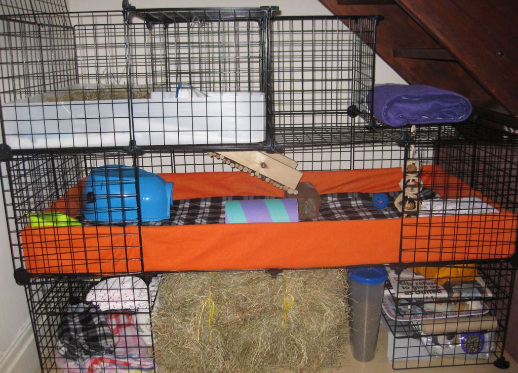 cage.jpg