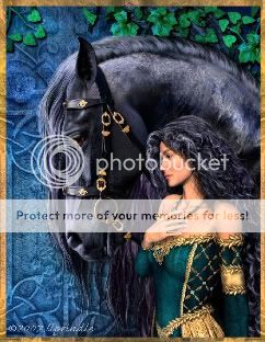 love's horse Pictures, Images and Photos