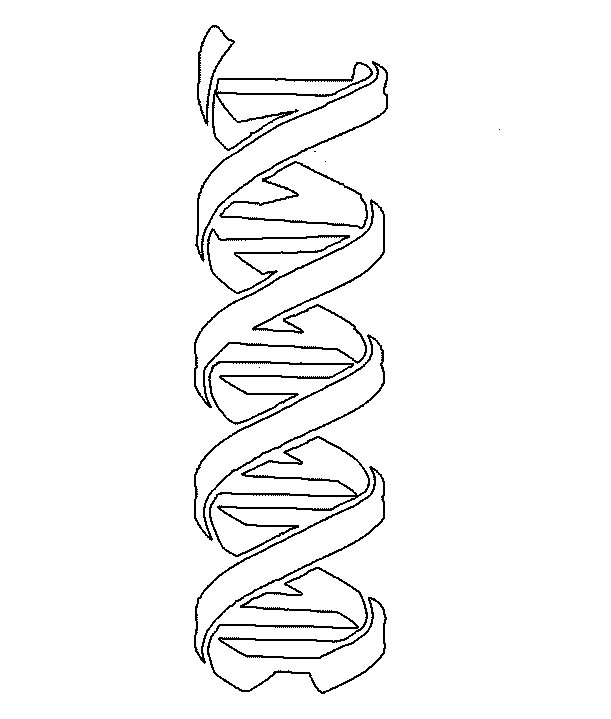 DNA Stencil gif by kloun_708 | Photobucket