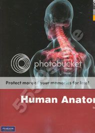 New* Human Anatomy 7E by Frederic H. Martini 9780321688156  